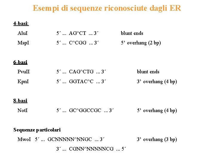 Esempi di sequenze riconosciute dagli ER 4 -basi: Alu. I 5´. . . AG^CT.