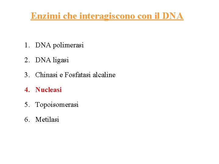 Enzimi che interagiscono con il DNA 1. DNA polimerasi 2. DNA ligasi 3. Chinasi