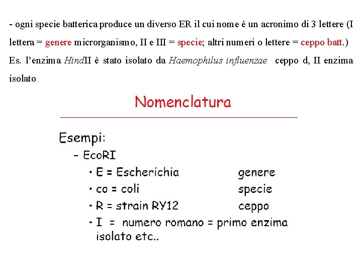 - ogni specie batterica produce un diverso ER il cui nome è un acronimo