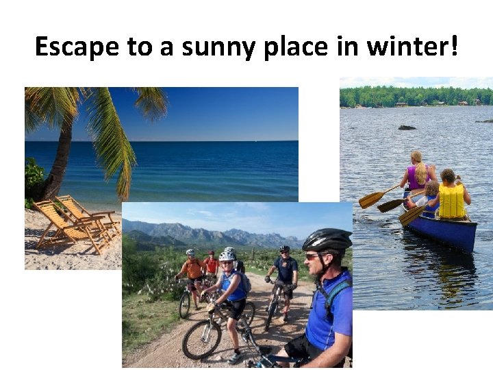 Escape to a sunny place in winter! 