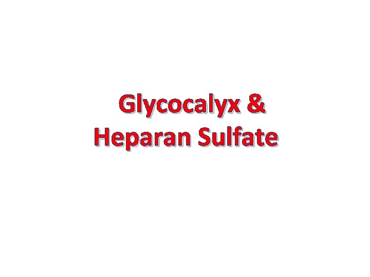  Glycocalyx & Heparan Sulfate 
