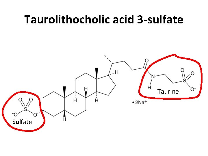 Taurolithocholic acid 3 -sulfate Taurine Sulfate 