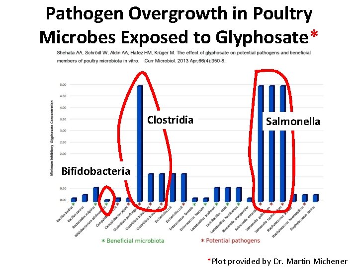 Pathogen Overgrowth in Poultry Microbes Exposed to Glyphosate* Clostridia Salmonella Bifidobacteria *Plot provided by