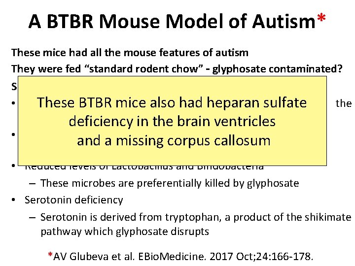 A BTBR Mouse Model of Autism* These mice had all the mouse features of