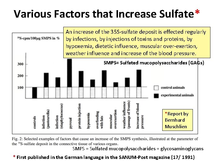 Various Factors that Increase Sulfate* An increase of the 35 S-sulfate deposit is effected