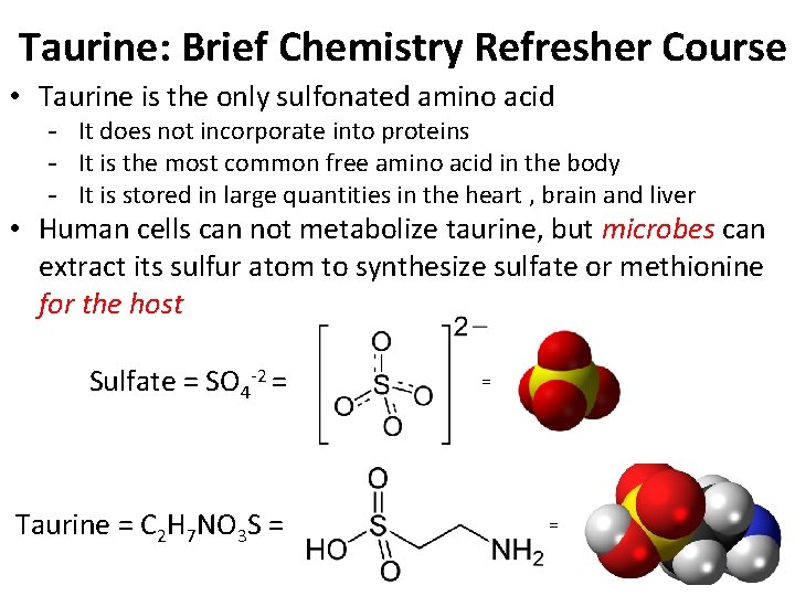 Taurine: Brief Chemistry Refresher Course • Taurine is the only sulfonated amino acid -