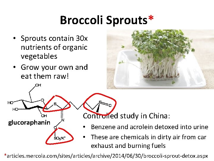 Broccoli Sprouts* • Sprouts contain 30 x nutrients of organic vegetables • Grow your