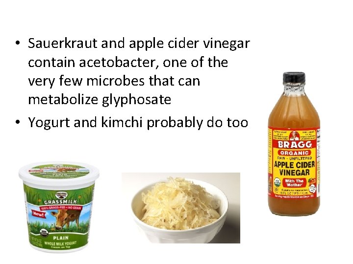  • Sauerkraut and apple cider vinegar contain acetobacter, one of the very few