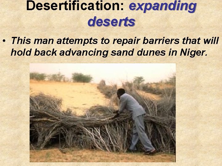 Desertification: expanding deserts • This man attempts to repair barriers that will hold back Desertification: expanding deserts • This man attempts to repair barriers that will hold back
