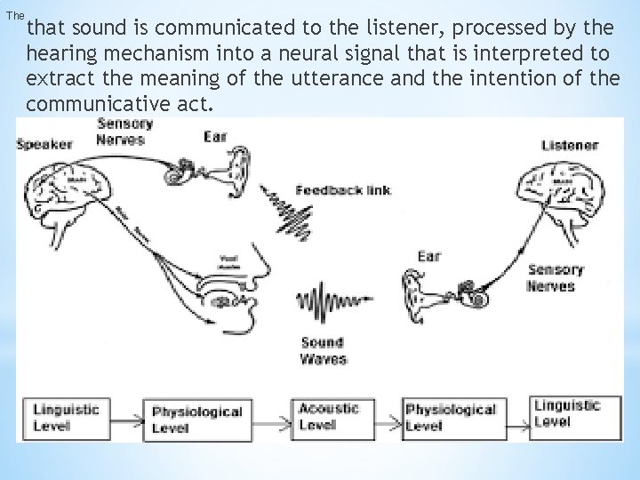 The that sound is communicated to the listener, processed by the hearing mechanism into