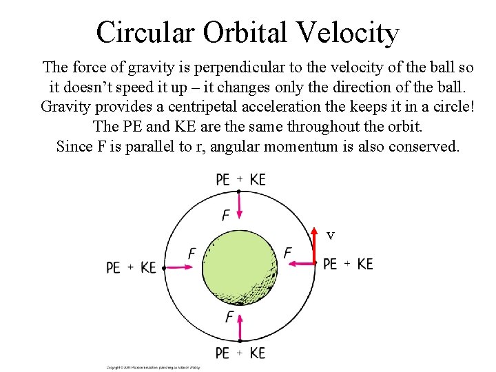 Circular Orbital Velocity The force of gravity is perpendicular to the velocity of the Circular Orbital Velocity The force of gravity is perpendicular to the velocity of the