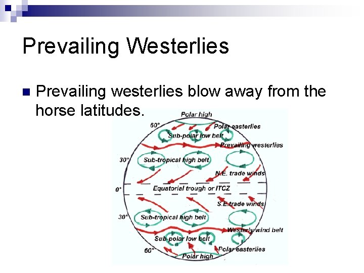 Prevailing Westerlies n Prevailing westerlies blow away from the horse latitudes. 