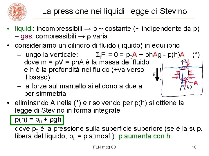 La pressione nei liquidi: legge di Stevino • liquidi: incompressibili → ρ ~ costante