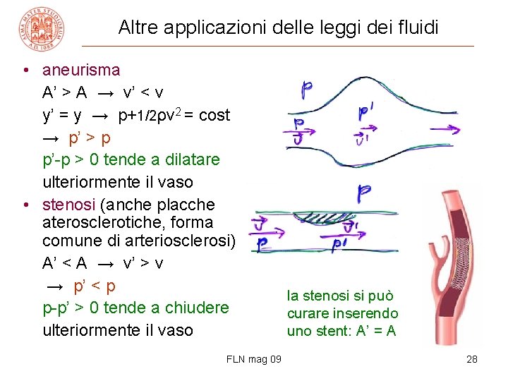 Altre applicazioni delle leggi dei fluidi • aneurisma A’ > A → v’ <