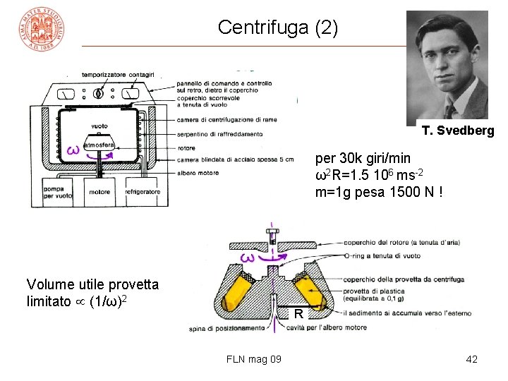 Centrifuga (2) T. Svedberg per 30 k giri/min ω2 R=1. 5 106 ms-2 m=1