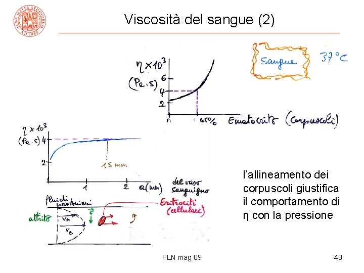 Viscosità del sangue (2) l’allineamento dei corpuscoli giustifica il comportamento di η con la