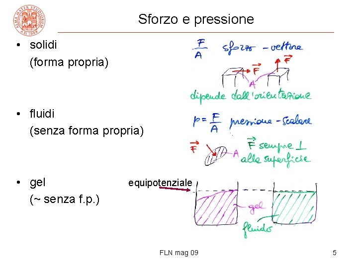 Sforzo e pressione • solidi (forma propria) • fluidi (senza forma propria) • gel