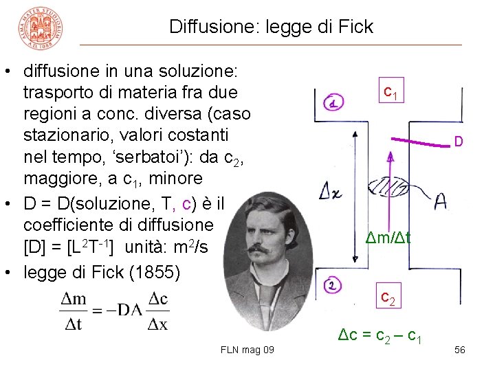 Diffusione: legge di Fick • diffusione in una soluzione: trasporto di materia fra due