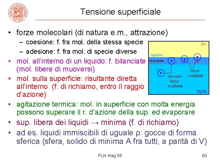 Tensione superficiale • forze molecolari (di natura e. m. , attrazione) – coesione: f.