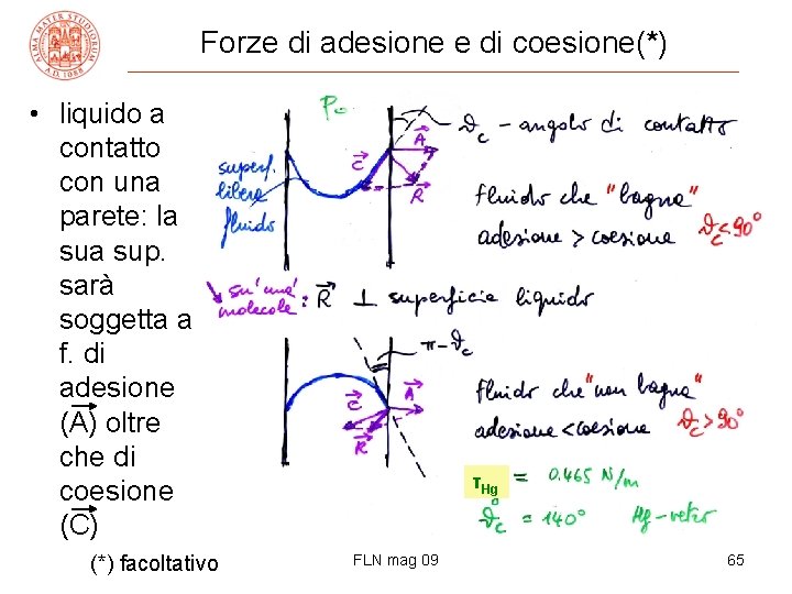 Forze di adesione e di coesione(*) • liquido a contatto con una parete: la