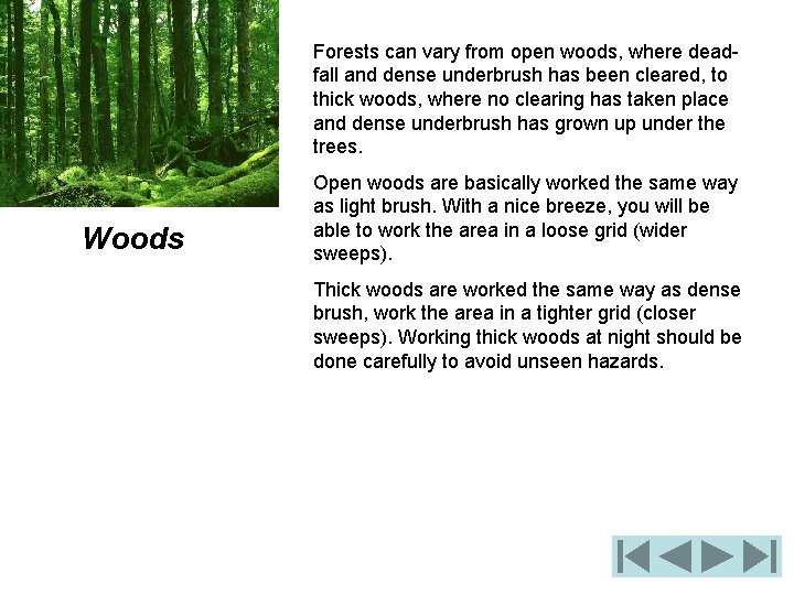 Forests can vary from open woods, where deadfall and dense underbrush has been cleared,