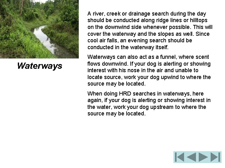 A river, creek or drainage search during the day should be conducted along ridge