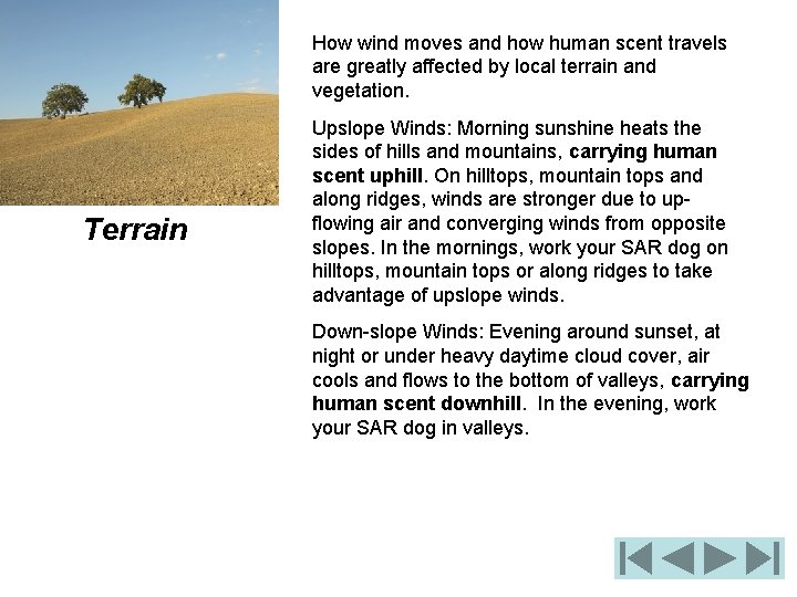 How wind moves and how human scent travels are greatly affected by local terrain