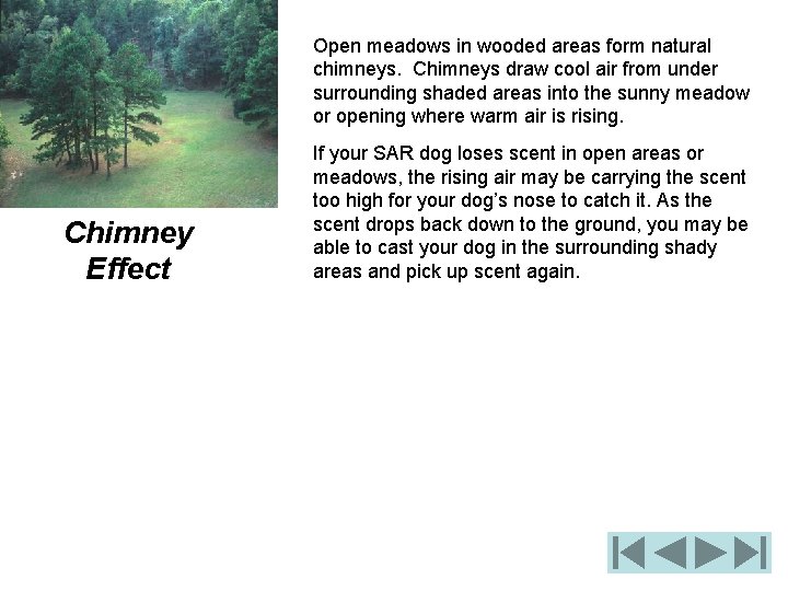 Open meadows in wooded areas form natural chimneys. Chimneys draw cool air from under