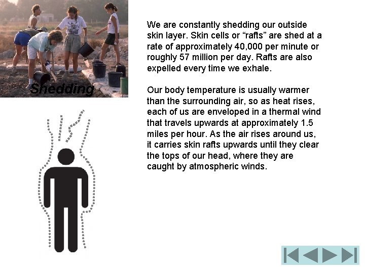 We are constantly shedding our outside skin layer. Skin cells or “rafts” are shed