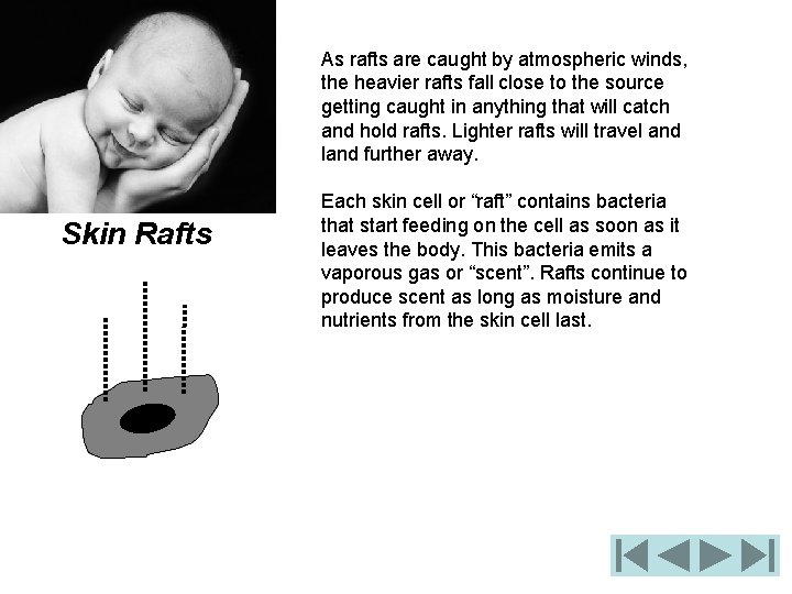 As rafts are caught by atmospheric winds, the heavier rafts fall close to the