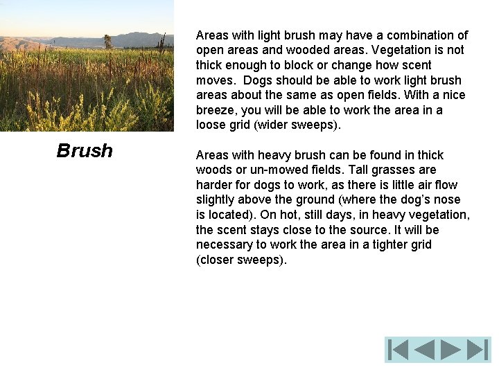 Areas with light brush may have a combination of open areas and wooded areas.