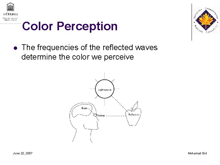 Color Perception l The frequencies of the reflected waves determine the color we perceive