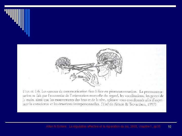 Allan N Schore. La régulation affective et la réparation du soi, 2003, chapitre 1,