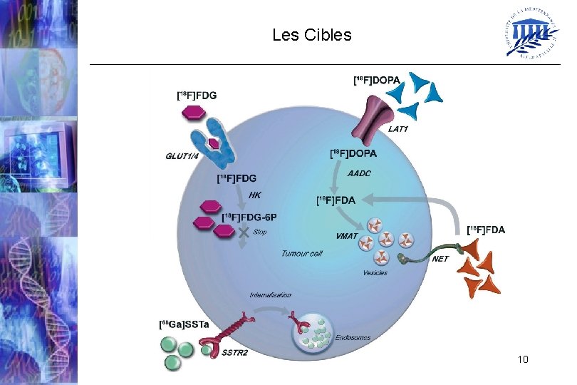 Les Cibles 10 