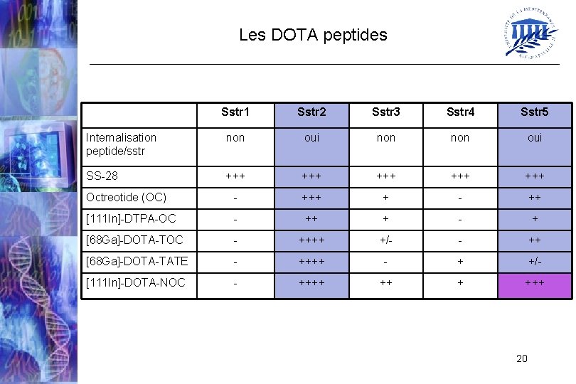 Les DOTA peptides Sstr 1 Sstr 2 Sstr 3 Sstr 4 Sstr 5 Internalisation