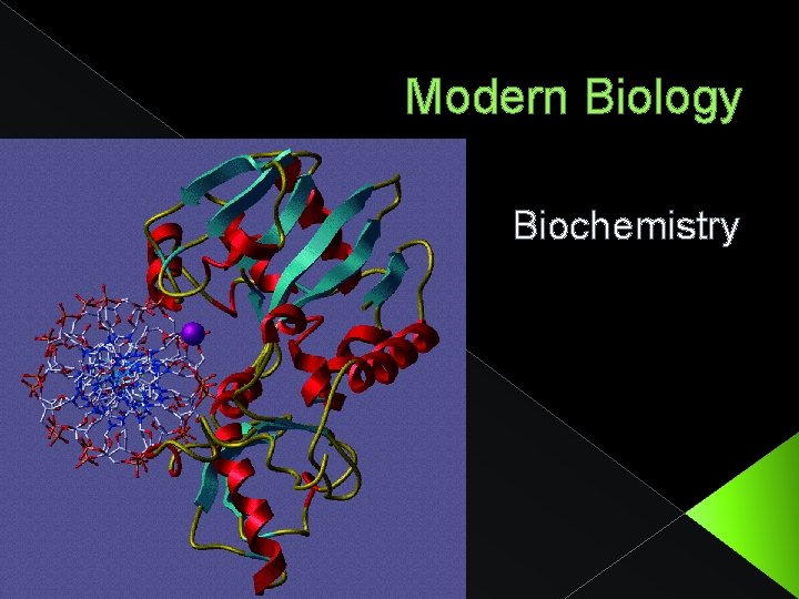 Modern Biology Biochemistry 
