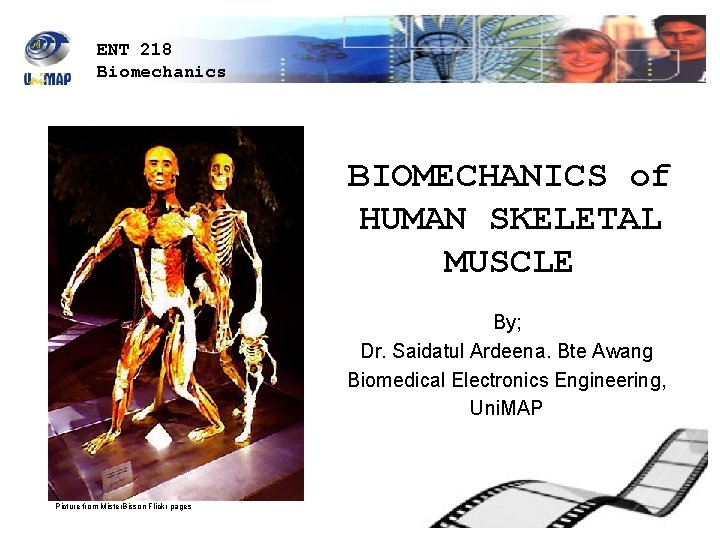 ENT 218 Biomechanics BIOMECHANICS of HUMAN SKELETAL MUSCLE By; Dr. Saidatul Ardeena. Bte Awang