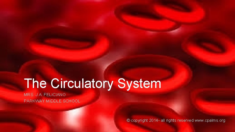 The Circulatory System MRS. J. A. FELICIANO PARKWAY MIDDLE SCHOOL © copyright 2014 -