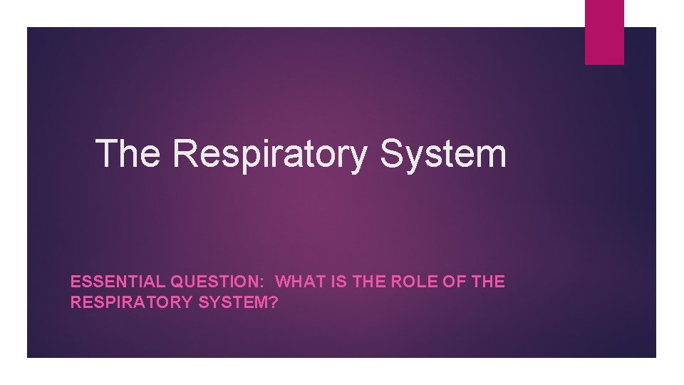 The Respiratory System ESSENTIAL QUESTION: WHAT IS THE ROLE OF THE RESPIRATORY SYSTEM? 