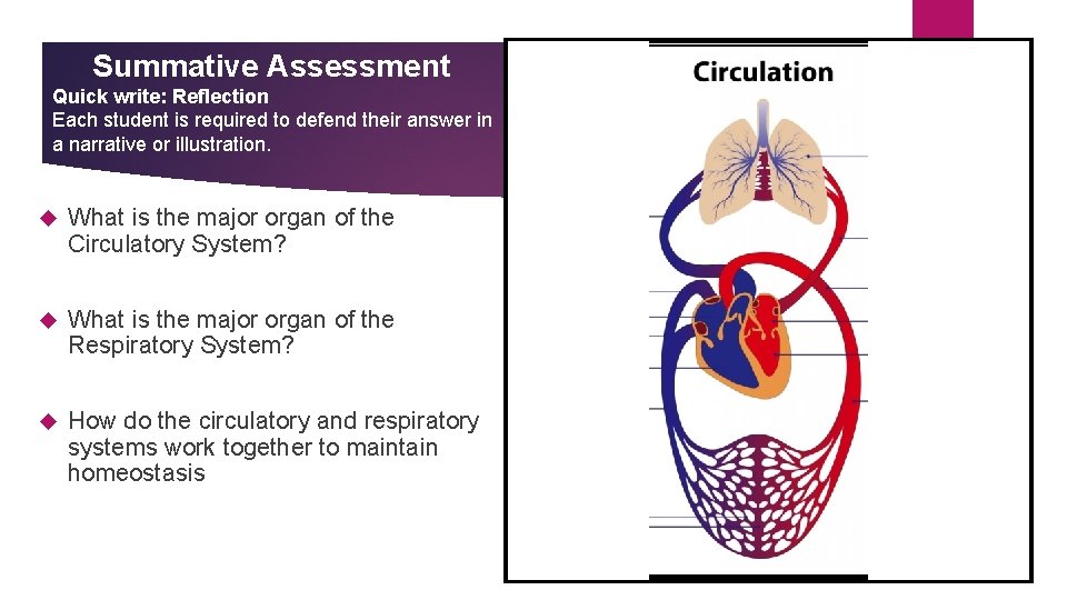 Summative Assessment Quick write: Reflection Each student is required to defend their answer in