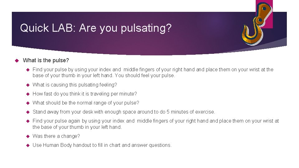 Quick LAB: Are you pulsating? What is the pulse? Find your pulse by using