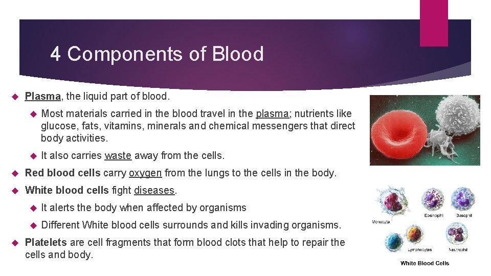 4 Components of Blood Plasma, the liquid part of blood. Most materials carried in