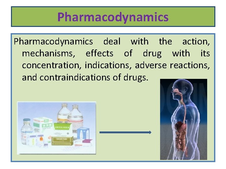 Pharmacodynamics deal with the action, mechanisms, effects of drug with its concentration, indications, adverse