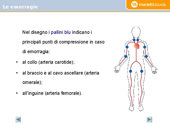 Le emorragie Nel disegno i pallini blu indicano i principali punti di compressione in