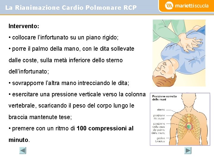 La Rianimazione Cardio Polmonare RCP Intervento: • collocare l’infortunato su un piano rigido; •