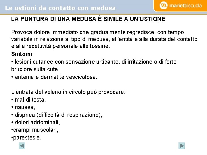 Le ustioni da contatto con medusa LA PUNTURA DI UNA MEDUSA È SIMILE A