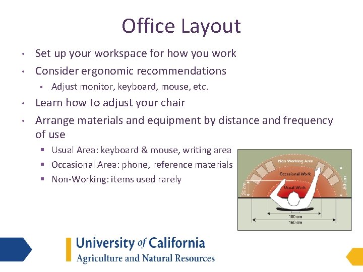 Office Layout • • Set up your workspace for how you work Consider ergonomic