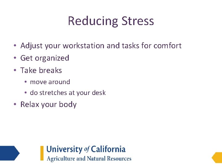 Reducing Stress • Adjust your workstation and tasks for comfort • Get organized •