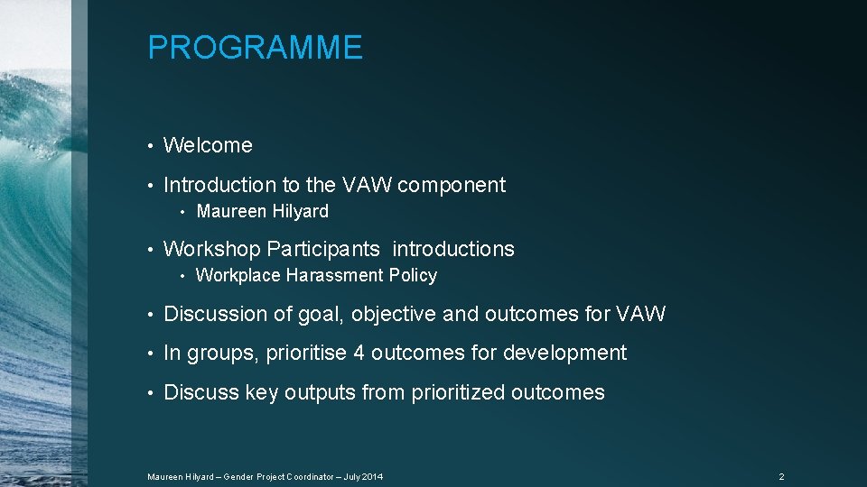 PROGRAMME • Welcome • Introduction to the VAW component • • Maureen Hilyard Workshop