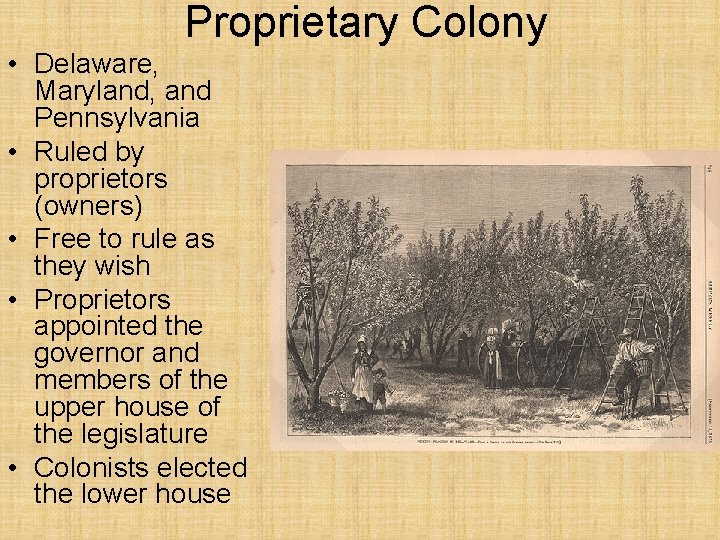 Proprietary Colony • Delaware, Maryland, and Pennsylvania • Ruled by proprietors (owners) • Free Proprietary Colony • Delaware, Maryland, and Pennsylvania • Ruled by proprietors (owners) • Free